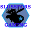 Slussfors Gaming