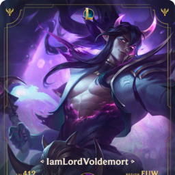 IamLordVoldemort#1069