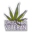 Drug War Veterans