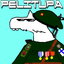 Pelitupa