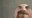 Myerssr6