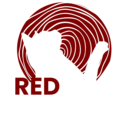 RedCat Produtora
