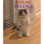 Assume Violence