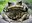 Dancing Frog