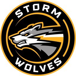 Jones storm wolf. Storm wolves. логотип для киберспортивной ratel. Storm wolves. Logo волки ff.