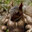 dormeViolento (was deleted at: 2024-01-09T21:31:30.9270610Z)