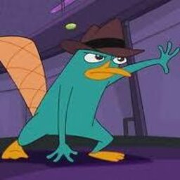 PerryDaPlatapus