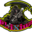 Phixiuz