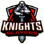 Knights Slayer