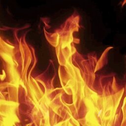 The legend player team