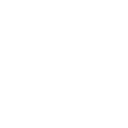 Karolinerna Esport