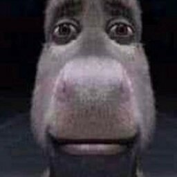 bielzinTRALHA HS #0602