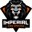 Imperial Pro Gaming (was deleted at: 2022-09-17T09:39:00.9383548Z)