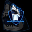 NVP E-SPORTS BRASIL