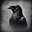 crow gamming