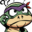 WildTurtles