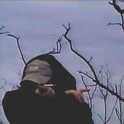 xzt