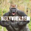 NEXTVIGRAEM 2.0