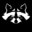 RACOON FIGHTERS