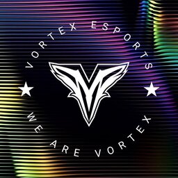 VORTEX_CEO