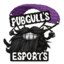 PUBGull's Esports