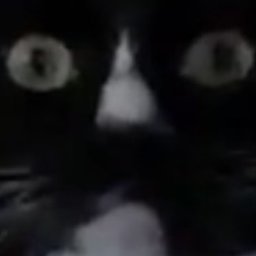 foopsmells