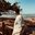 BozoSocaFofo#8829