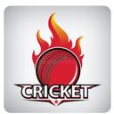Pakistan premier league