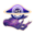 Cosmic Horizon