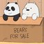 BEARS FOR SALE