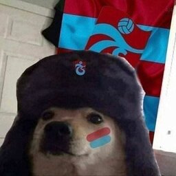 dogukanarkan61