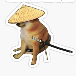 andibiceps