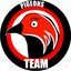 PIGEONS TEAM
