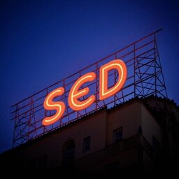 19sed91