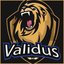 Validus Academy