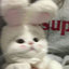 LaiteR_SF