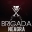 Brigada Neagra