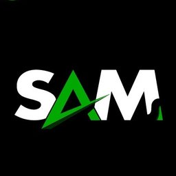 1SAM
