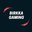 Birkka Gaming