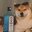 Dog's Style (was deleted at: 2023-08-05T20:59:57.9576987Z)