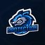 Protection eSports