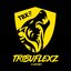 TRIBUFLEXZ ESPORTS FF