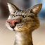 коты смеюца (was deleted at: 2022-08-07T13:36:37.2153589Z)