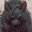 BATEMOS EM MENDIGOS (was deleted at: 2022-02-25T02:34:02.1040303Z)