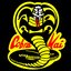 KobraKai13