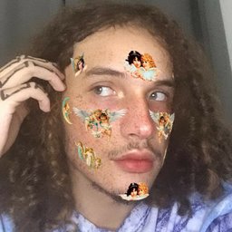 Lipizinho Sensação