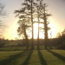 theworldsalittleblurry