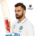 World champions league