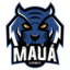 Mauá Esports - IMT
