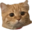 ayenbe